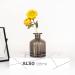 150 ml Empty Glass Diffuser Bottle Aromatherapy Glass Storage Container for DIY & Replacement Sets (Gray) - Buy Online on GoSupps.com
