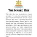 The Naked Bee Orange Blossom Honey Velvety Smooth Body Wash - 10 oz - Buy Online on GoSupps.com