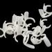 200 Pcs Nail Display Tips Manicure Art Practice Tool - Natural Color Nail Polish Display Rings for Beginners - Buy Online on GoSupps.com