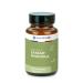 Rhodiola Rosea R silience Stress & Fatigue Plante Adaptog ne 60 G lules V g tales Nootrolab