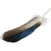 LUORNG 150PCS Duck Feathers - Natural DIY Craft Art Decor for Carnival, Halloween, Handwork, Clothing, Costumes, Hair, Hats, Home Wedding Party Decoration - Buy Online on GoSupps.com