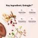 MISSHA CHOGONGJIN Essence Pact 15g (Vanilla 15g) 15 g (Pack of 1) Vanilla - Buy Online on GoSupps.com