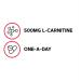 GNC Gentlesorb Iron 18mg 90 Capsules - Gentle on Stomach, Highly Absorbable - Buy Online on GoSupps.com