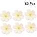 ABOOFAN 50pcs Ornaments White Plum Pink Simulation Supplies Handmade Crafts Flower Adornments DIY Blossoms As Shown Size 1 - Buy Online on GoSupps.com