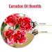 Carnation (Dianthus caryophyllus) Essential Oil 100% Pure & Natural - Undiluted Uncut Cold Pressed Aromatherapy Premium Oil (30ml) Carnation 30 ml (Pack of 1) - Buy Online on GoSupps.com