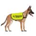 CENWA in Training Ignore Dog Jacket Vest Dog in Training Nervous Scared Dog Slogan Safety Vest (Training Ignore M)