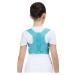 Back Brace Lumbar Support Back Posture Corrector Orthopedic Corset Shoulder Lumbar Spine Decompression Waist Belt(Blue Large) Large Blue