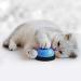 Slson Pet Training Bells - 2 Piece Set for Dogs & Cats - Potty Communication Door Bells with Large Button & Cat Pattern - White & Blue - Buy Online on GoSupps.com