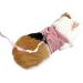 YJZQ Guinea Pigs Safety Harness Adjustable Stripe Pet Harness Vest Lead Rope for Rats Iguana Hamster Ferrets Small Animal Pet Training or Walking red - Buy Online on GoSupps.com