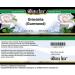 Bianca Rosa Grindelia (Gumweed) Cream (2 oz ZIN: 515124) - 3 Pack - Buy Online on GoSupps.com