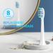 Replacement Toothbrush Heads for Philips Sonicare Electric Toothbrush - 8 Pack (White) - Buy Online on GoSupps.com