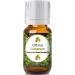10ml - Galbanum Essential Oil - 0.33 Fluid Ounces - Aromatherapy Oils - Galbanum Oil Galbanum 0.33 Fl Oz (Pack of 1)