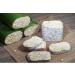 Buy Tempeh Starter Set - 1KG Peeled Soybeans (Rhizopus Oligosporus) - Make Up to 75KG of Homemade Tempeh - Worldwide Shipping - Buy Online on GoSupps.com
