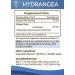 Hydrangea Tincture Alcohol-Free Liquid Extract - 2 Fl Oz - Secrets of the Tribe - Buy Online on GoSupps.com