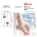 30 Sheets Muulaii Waterproof 3D Butterfly Temporary Tattoos for Women - Colorful Fake Tattoo Stickers for Body Art on Bracelets, Back, Wrist, and Arm Bands - Buy Online on GoSupps.com