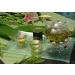 WENXUANSU: Long Jing Green tea Dragon Well top grade loose leaf bag packing 2 Pound (908 grams) - Buy Online on GoSupps.com