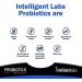 Intelligent Labs Probiotic 50 Billion CFU with Prebiotics PHGG & FOS No Refrigeration Needed Once Daily 10x Effectiveness 60-Day Supply Third-Party Verified - Buy Online on GoSupps.com