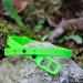 Croci Niki Natural Defense Adjustable Dog Collar with Neem Oil - Size 75 cm - Buy Online on GoSupps.com