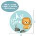 Zoo Animals Baby Monthly Stickers - Jungle Milestone Set for Boy/Girl | Unisex Safari Newborn Monthly Milestones (Set of 24) - Buy Online on GoSupps.com