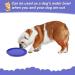 Vivifying Frisbee Dog - 2-Pack 15cm Natural Rubber Dog Frisbees for Land & Water (Green + Purple) - Ideal for Fun & Play - Buy Online on GoSupps.com