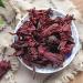100% Roselle Hibiscus 50g/1.76oz feuilles fra ches sans OGM fleurs s ch es naturelles herbes savonneuses sirops boissons boulangerie beaut DIY sachets et pices fra ches - Buy Online on GoSupps.com