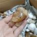 Specimen 1pc 50mm Natural Orange Calcite Stones and Crystals Carved Rock Crystal Frog StatueStone Stone Crystal Reiki - Buy Online on GoSupps.com