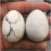 1pcs Natural White Turquoise Crystal Egg Rock heal Gemstone Crystal Ornaments Stone Mineral Specimen - Buy Online on GoSupps.com