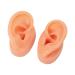 Long Lasting Waterproof Soft Artificial Ear Display Model for Medical Professionals - Buy Online on GoSupps.com