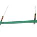 INFINETE Chicken Swing Chicken Toy for Hens Bird Parrot Macaw Hens Swing Ladder for Hens Bird Parrot Trainning - Buy Online on GoSupps.com