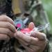 FOXPRO LOADED GUN Combo - Premium Hunting Gear Package - Buy Online on GoSupps.com