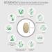 Biomenta Psyllium Husk Complex - 140 Vegan High-Dose Tablets | Premium Fiber & Plant Extracts for Digestive Health - Buy Online on GoSupps.com