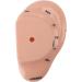 Buy Ear Acupuncture Display Model - Clear Point Visibility for Study Presentations | International Shipping Available - Buy Online on GoSupps.com
