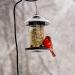Bird Food 10 kg Bird Food Mix 4 Seasons Top (10 kg) - Buy Online on GoSupps.com