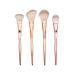 Premium Face & Eyeshadow Brush Set - Essential Makeup Brushes for Flawless Application | International Shipping - Buy Online on GoSupps.com