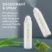 Native Deodorant & Body Spray Contains Naturally Derived Ingredients | Deodorant for Women and Men All Day Odor Protection Aluminum and Hydrocarbon Propellant Free | Aloe & Green Tea - Buy Online on GoSupps.com