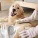 2 in 1 Magic Silicone Dishwashing Scrubber 4 Pairs Reusable Rubber Gloves Kitchen Tool for Household Dish Wash Bathroom Car - Buy Online on GoSupps.com