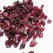 Beautiful Natural Rough Garnet Stones Raw gem Stone Specimen (Color : 100g) - Buy Online on GoSupps.com