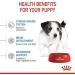 Royal Canin Mini Puppy Food for Puppies | 800 g | Dry Food for Puppies | Complete Food for Dogs | for Pet - Buy Online on GoSupps.com