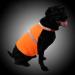 Alcyoneus Adjustable Reflective Dog Vest | Fluorescent Orange Hunting Safety Vest for Dogs - Buy Online on GoSupps.com