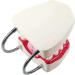 Gljy Dental Clinic Standard Model - Ideal for Teeth & Gum Demonstrations | Easy to Use & Maintain - Buy Online on GoSupps.com