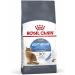 Royal Canin Light Weight Care Complete Dry Cat Food 4 x 400g - Buy Online on GoSupps.com
