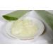 Buy 3 Fresh Bio Aloe Vera Leaves 80cm | 800g | EU Certified XXL Barbadensis Miller for Skin Hair Nail Body Care | Anti-Aging | Ships Worldwide - Buy Online on GoSupps.com