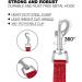 Loutep Long Towline Dog Leash - 3m 5m 10m 15m 20m | Strong Nylon with Padded Handle | Durable Red Leash for Training & Daily Walks - Buy Online on GoSupps.com