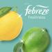 Flash All Purpose & Floor cleaner Pack of 2 Bottles: for Pet Lovers 1L with Febreze Citrus Freshness & Crisp Lemon Scent 950ml + Our Gift for You: Organza Small Bag - Buy Online on GoSupps.com