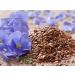 Rapha Global Flax Hull Lignans High Fiber Food | Omega 3 - 90 Capsules - Buy Online on GoSupps.com