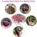 MORGLES 1000 PCS Mini Rubber Bands for Kids - Small Elastic Hair Bands in Multi-colored - Buy Online on GoSupps.com