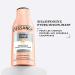 DESSANGE - Hydra-Brush Moisturizing & Disciplining Shampoo - Formula Enriched With Hyaluronic Acid - Prepares Hair For Blow-Drying - For Hair Exposed To Heating Appliances - 250 ml - Buy Online on GoSupps.com