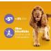 Pedigree Dog Snacks Multivitamins for Digestion - 30 Soft Tacker Treats with Probiotics 180g | Digestive Support Supplements - Buy Online on GoSupps.com