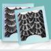Lanlousy 5 Pairs 25mm Eyelashes Eyelashes Lashes Natural Dramatic Volume Eyelashes Extension False Eyelashes 5D95 Black 5D95 - Buy Online on GoSupps.com