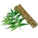 OMC Organic Natural Neem Stick(10pcs) datun Brush for Strong Teeth neem datun no Germs 6 inch (10 pcs)